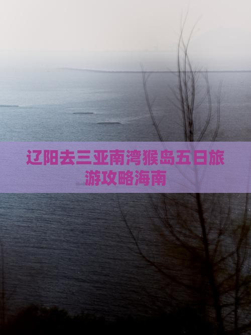 辽阳去三亚南湾猴岛五日游