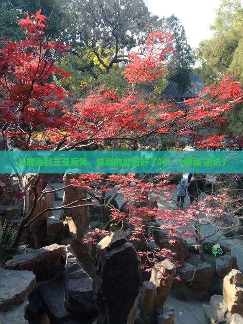 威海前往三亚后海旅游打卡点