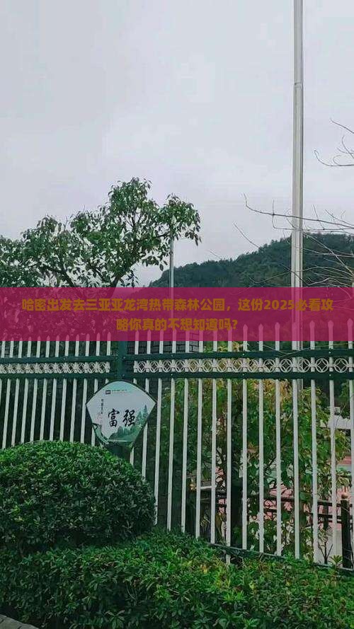 哈密前往三亚亚龙湾热带森林公园团体旅游