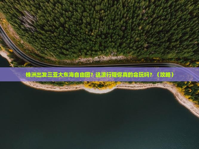 株洲出发三亚大东海自由团