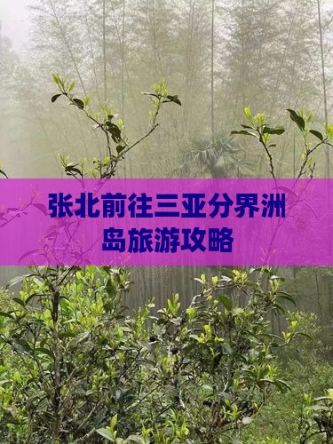 张北前往三亚分界洲岛哪里玩