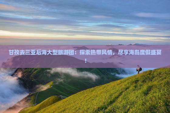 甘孜去三亚后海大型旅游团