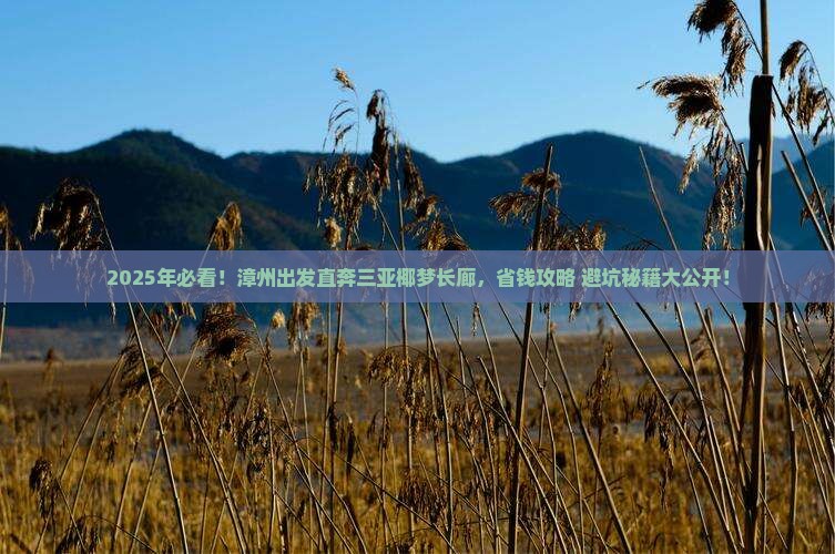 漳州前往三亚椰梦长廊攻略