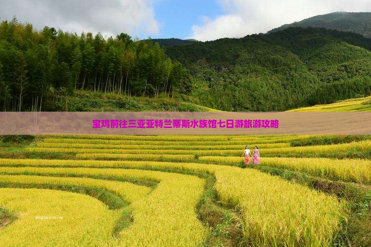 宝鸡前往三亚亚特兰蒂斯水族馆七日游