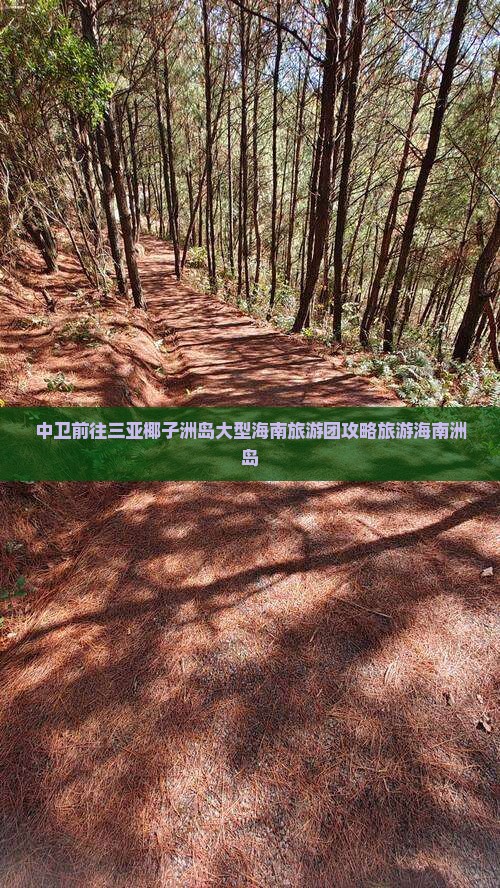 中卫前往三亚椰子洲岛大型旅游团