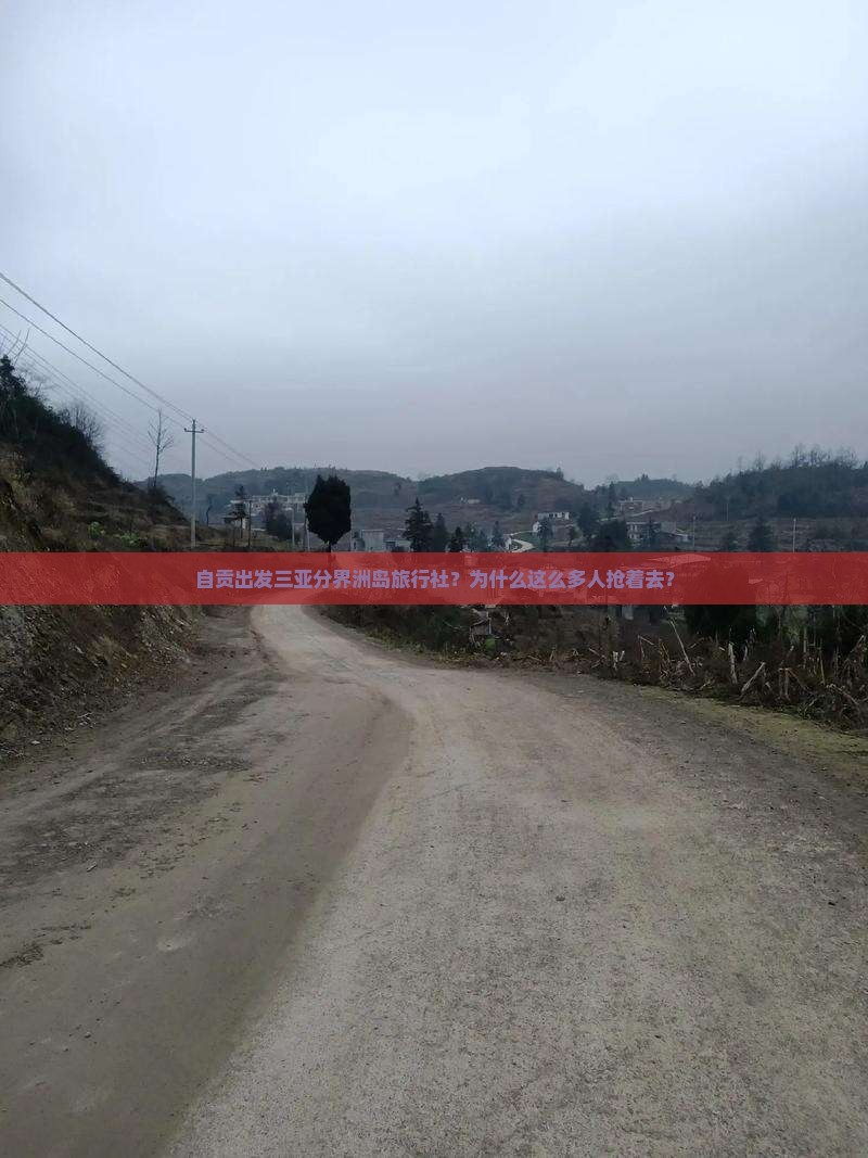 自贡出发三亚分界洲岛旅行社