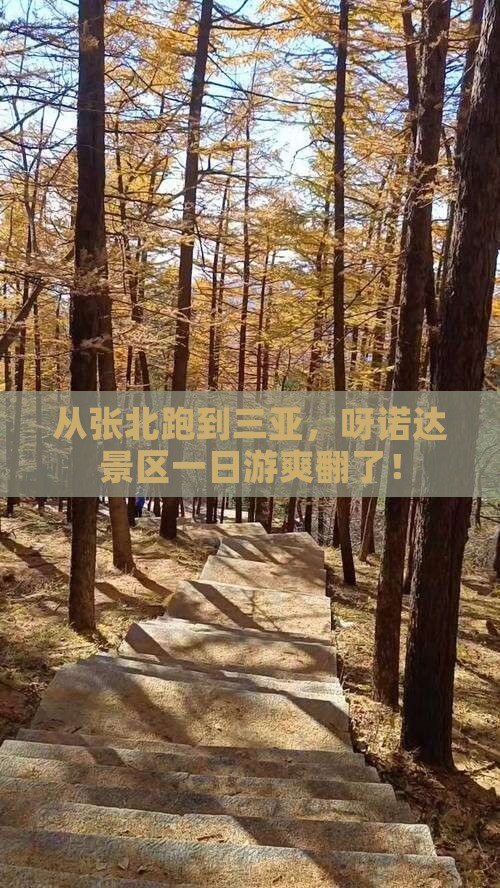 张北去三亚呀诺达景区一日游