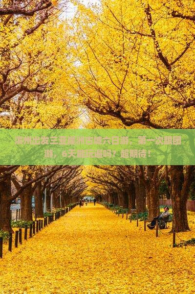 滨州出发三亚崖洲古城六日游