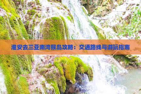 淮安去三亚南湾猴岛攻略