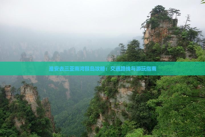 淮安去三亚南湾猴岛攻略
