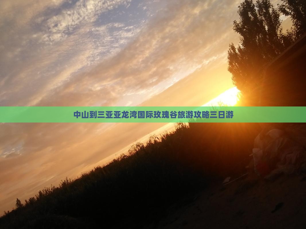 中山去三亚亚龙湾国际玫瑰谷三日游