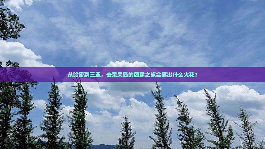 哈密出发三亚呆呆岛团体旅游