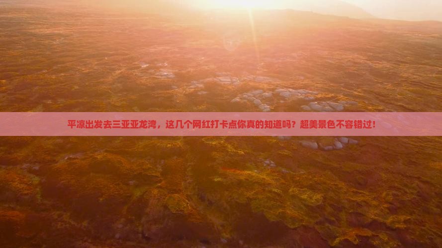 平凉去三亚亚龙湾热带森林公园旅游网红地点