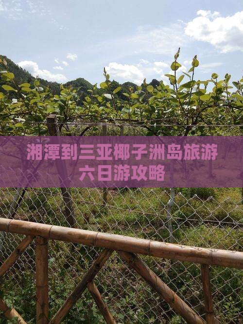 湘潭去三亚椰子洲岛六日游