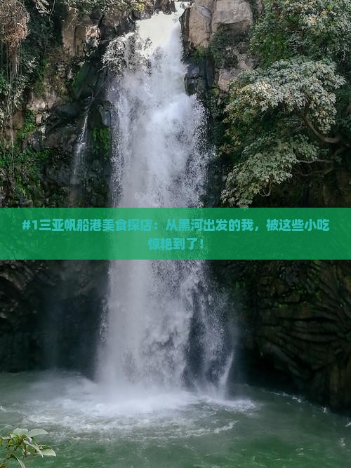 黑河出发三亚半山半岛帆船港旅游小吃