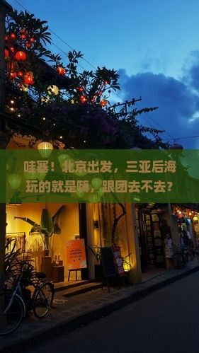 北京出发三亚后海大型旅游团
