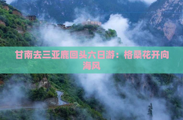 甘南去三亚鹿回头六日游