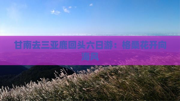 甘南去三亚鹿回头六日游