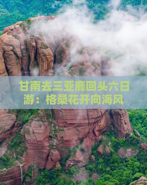 甘南去三亚鹿回头六日游