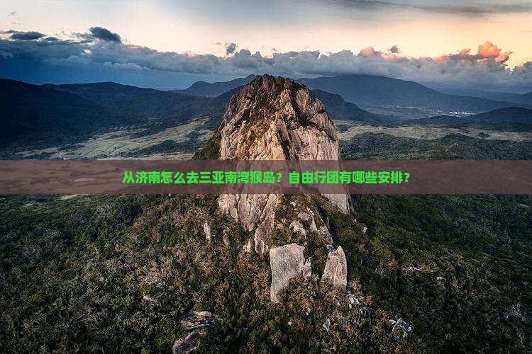 济南出发三亚南湾猴岛自由团