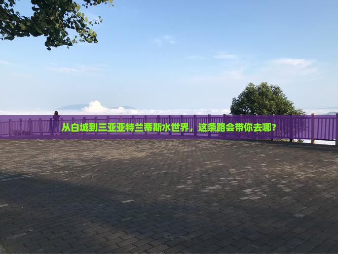 白城前往三亚亚特兰蒂斯水世界旅游打卡点