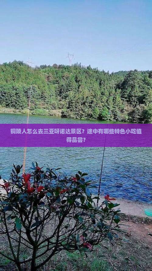 铜陵前往三亚呀诺达景区旅游小吃