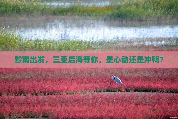 黔南前往三亚后海旅游