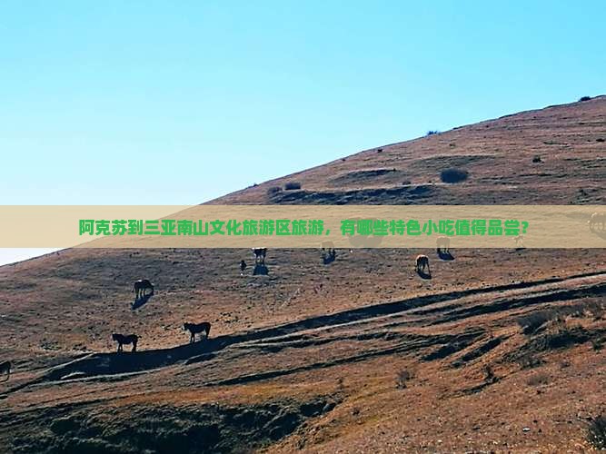 阿克苏前往三亚南山文化旅游区旅游小吃