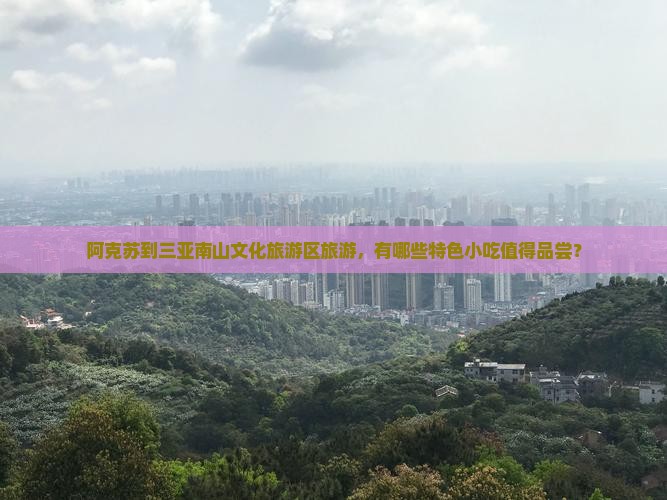 阿克苏前往三亚南山文化旅游区旅游小吃