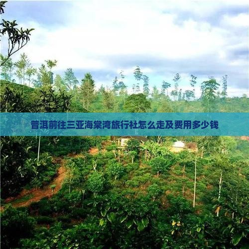 普洱前往三亚海棠湾旅行社