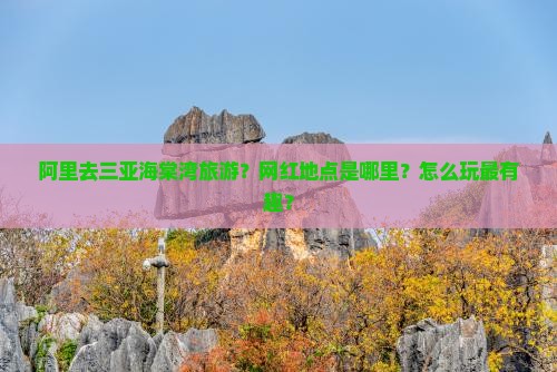 阿里去三亚海棠湾旅游网红地点