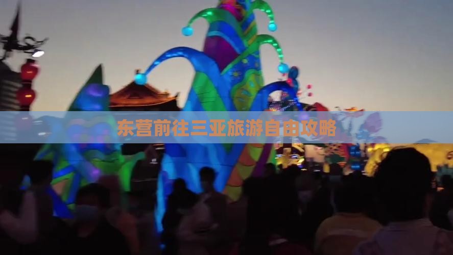 东营前往三亚崖洲古城自由团