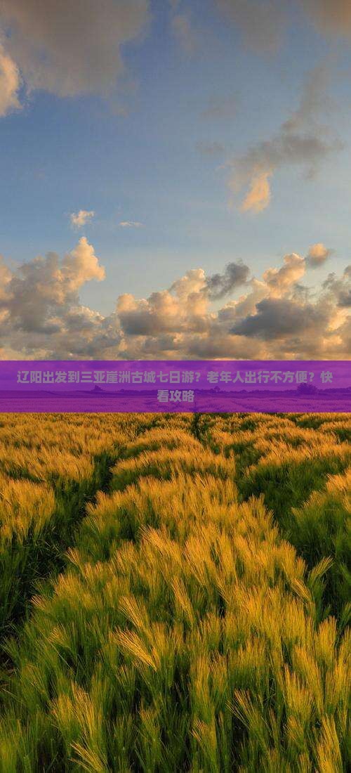 辽阳出发三亚崖洲古城七日游