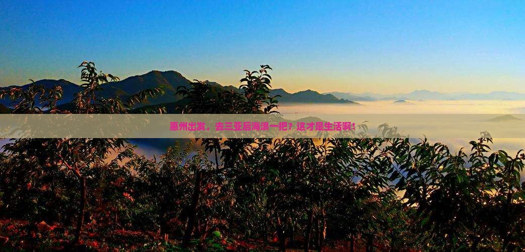 惠州出发三亚后海个人游 惠州出发三亚后海个人游