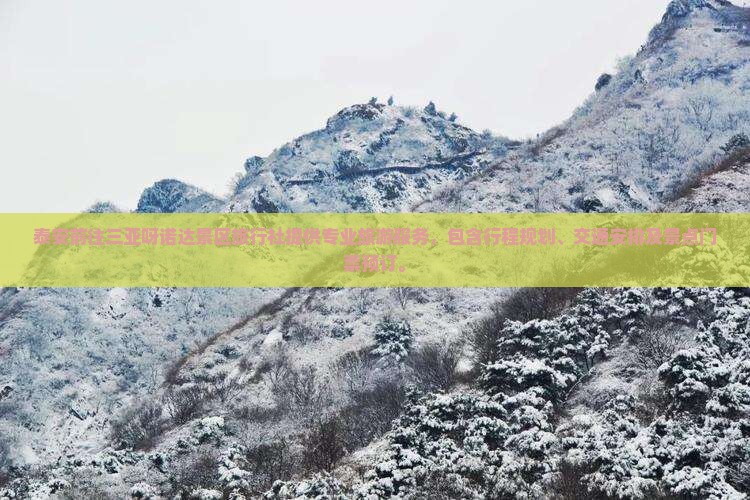 泰安前往三亚呀诺达景区旅行社
