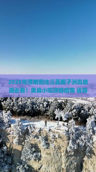 渭南前往三亚椰子洲岛旅游小吃