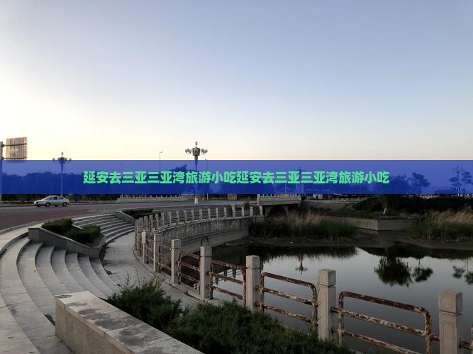 延安去三亚三亚湾旅游小吃