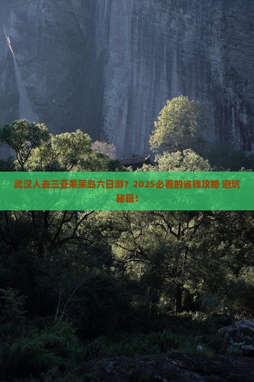 武汉去三亚呆呆岛六日游
