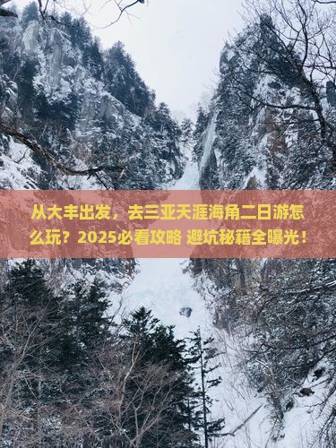 大丰前往三亚天涯海角二日游