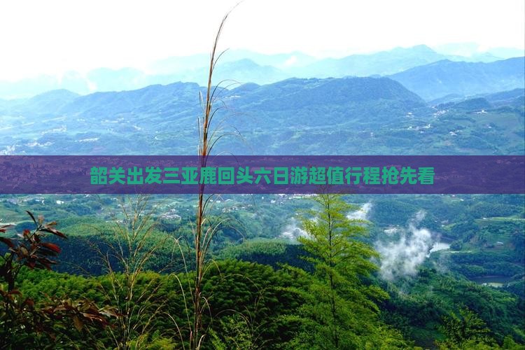 韶关出发三亚鹿回头六日游