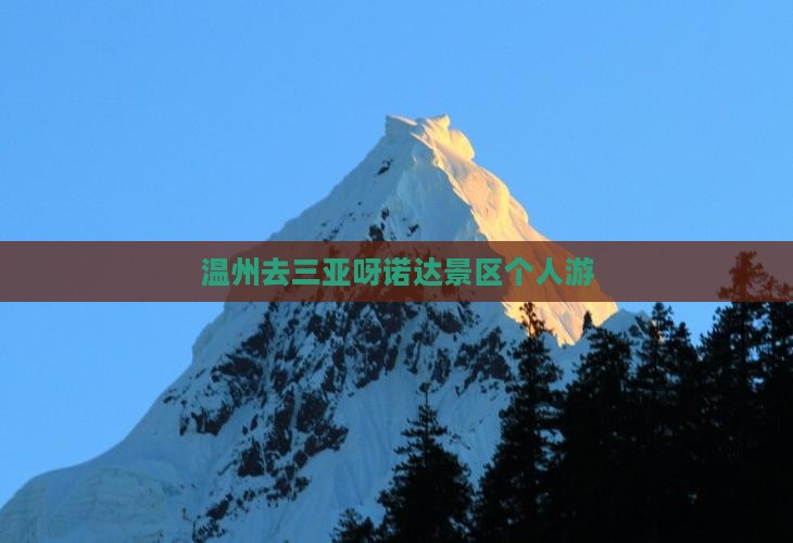 温州去三亚呀诺达景区个人游