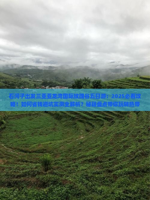 石河子出发三亚亚龙湾国际玫瑰谷五日游