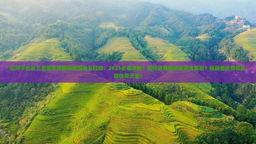 石河子出发三亚亚龙湾国际玫瑰谷五日游