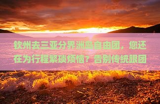 钦州去三亚分界洲岛自由团