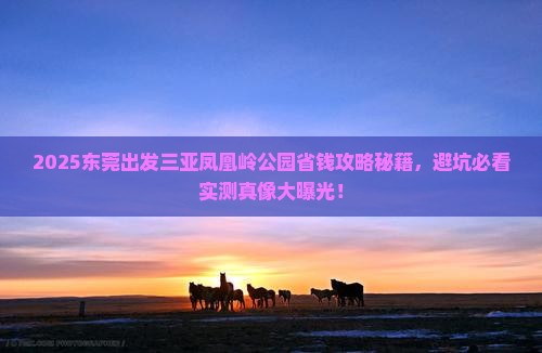 东莞出发三亚凤凰岭公园攻略