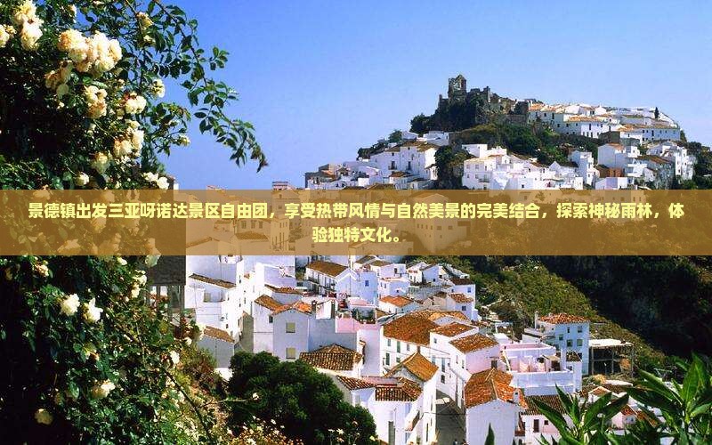 景德镇出发三亚呀诺达景区自由团
