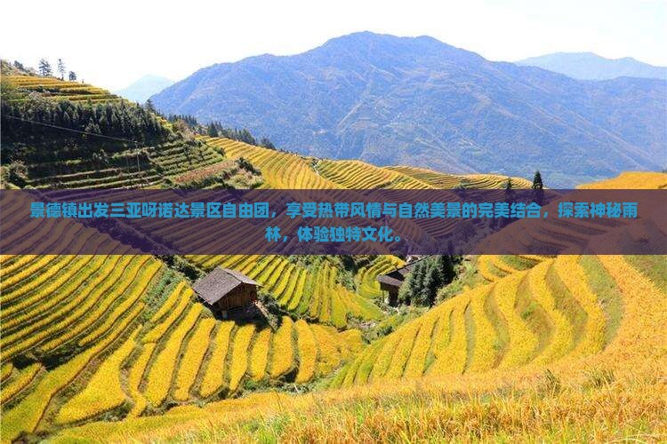 景德镇出发三亚呀诺达景区自由团