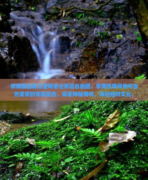 景德镇出发三亚呀诺达景区自由团