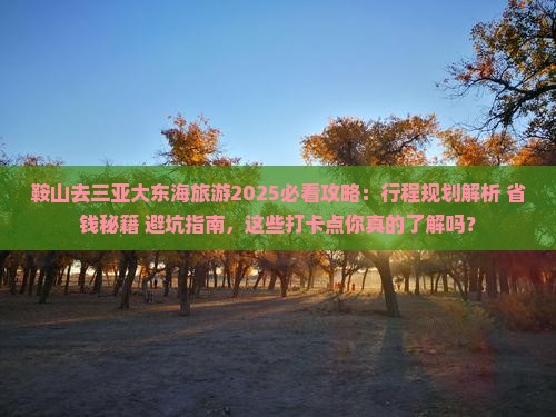 鞍山去三亚大东海旅游打卡点