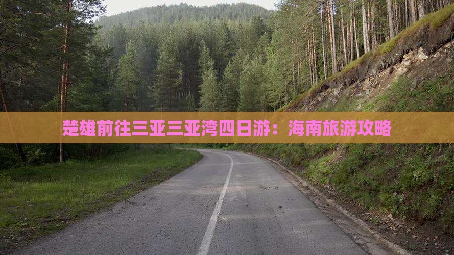 楚雄前往三亚三亚湾四日游